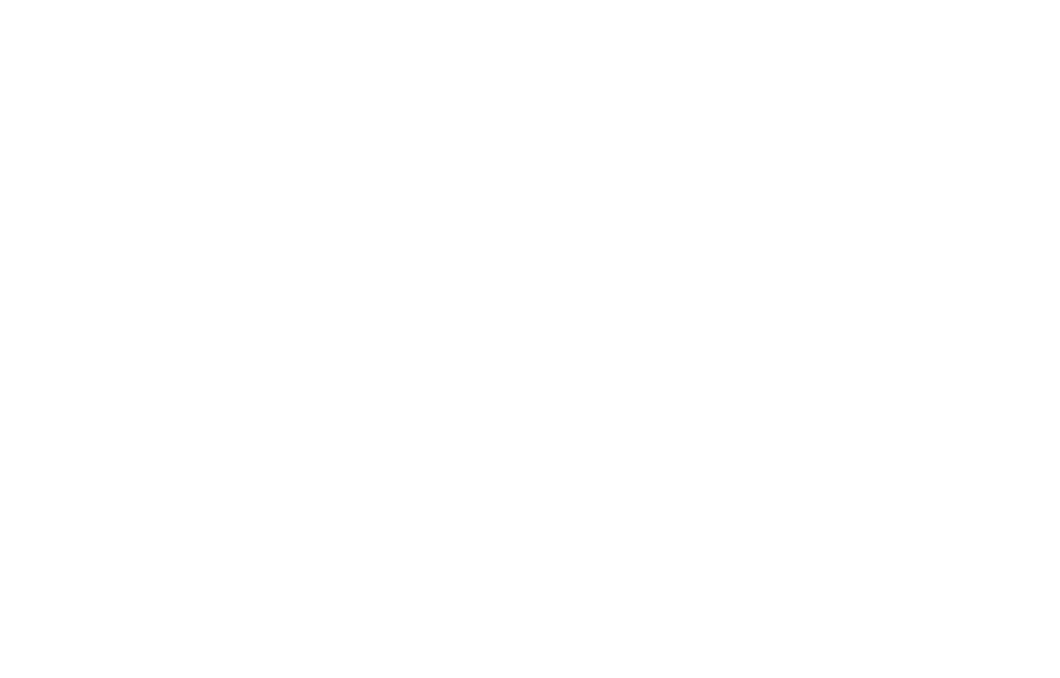 Nightmare Studios Logo